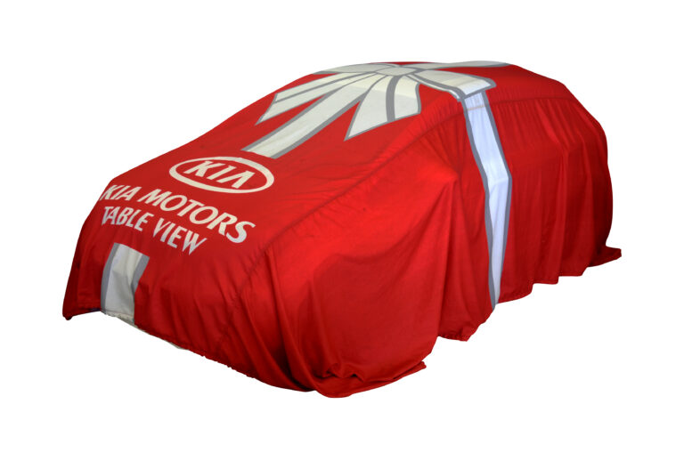 Car cover
